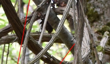 image de moi créatrice