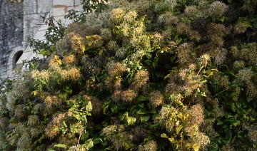 image de moi en conquérante