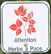 panneau alerte herbe à puce